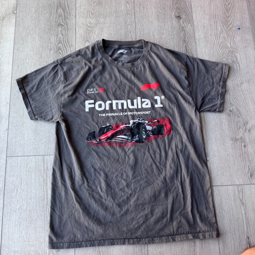 Formula 1 F1 Racing Graphic T-Shirt Mens L Gray Hybrid Apparel Motorsport Tee